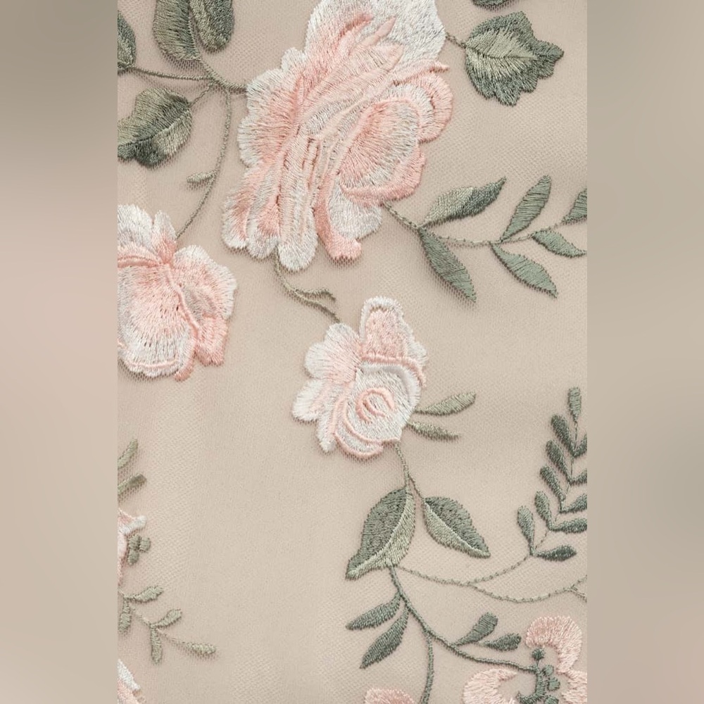 Jenny Yoo‎ Julianna Enchanted Floral Embroidery - Picture 4 of 11